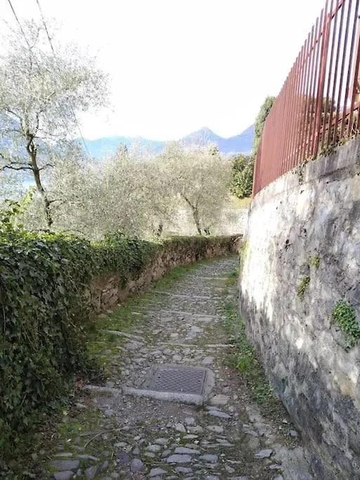 Apartment Casa Oliva: Stunning Views And Green Surroundings Perledo Italy
